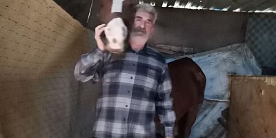 DEPREMDE ÖNCE AİLESİNİ SONRA ATLARINI KURTARDI