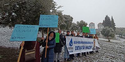 DEVA’DAN  ZEYTİNLİK ALANLARIN MADENCİLİĞE AÇILMASINA TEPKİ