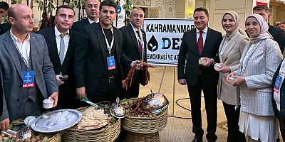 DEVA PARTİLİ KARATUTLU: 