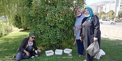 DEVA PARTİSİ SOKAK HAYVANLARINA MAMA VE SU BIRAKTI