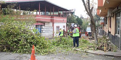 DULKADİROĞLU BELEDİYESİ’NDEN YEŞİL ALANLARA TAM DESTEK