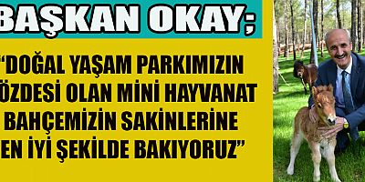 DULKADİROĞLU MİNİ HAYVANAT BAHÇESİNDE BAKIM ÇALIŞMASI YAPILDI