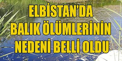 ELBİSTAN’DA BALIK ÖLÜMLERİ İLE İLGİLİ İNCELEME TAMAMLANDI