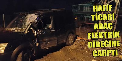 ELBİSTAN
 HAFİF TİCARİ ARAÇ
 ELEKTRİK DİREĞİNE ÇARPTI
 2 YARALI