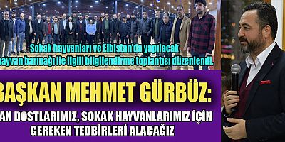 ELBİSTAN’DA SOKAK HAYVANLARI İÇİN ORTAK KARAR ALINDI