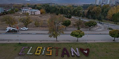 ELBİSTAN, KASIMPATI ÇİÇEKLERİ İLE RENKLENDİRİLDİ