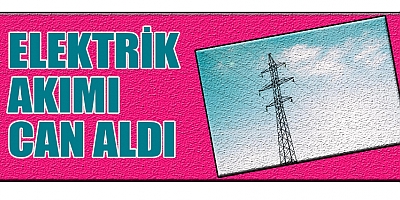 ELEKTRİK AKIMINA KAPILAN  ŞOFÖR  HAYATINI KAYBETTİ