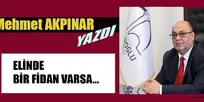ELİNDE BİR FİDAN VARSA…