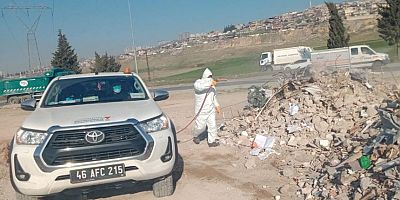 ENKAZ ALANLARI SALGIN HASTALIKLARA KARŞI İLAÇLANIYOR