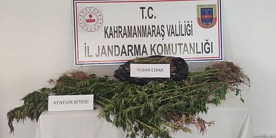 EVİNİN BAHÇESİNDE UYUŞTURUCU YETİŞTİRDİ