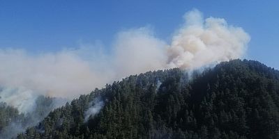FIRNIZ’DAKİ ORMAN YANGININA HAVADAN VE KARADAN MÜDAHALE SÜRÜYOR