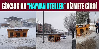   GÖKSUN BELEDİYESİ’NİN HAZIRLADIĞI “HAYVAN OTELLER” HİZMETE GİRDİ
