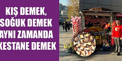HAKAN ATEŞ KESTANEYE KAHRAMANMARAŞ’TA BÜYÜK İLGİ VAR