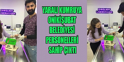 ‘HER CAN BİZİM İÇİN KIYMETLİDİR’





Onikişubat Belediyesi personellerinin yaralı olarak bulduğu kumru yavrusu