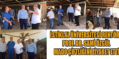 KAHRAMANMARAŞ İSTİKLAL ÜNİVERSİTESİ