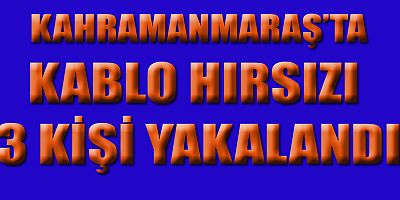 KABLO HIRSIZLARI JANDARMADAN KAÇAMADI  