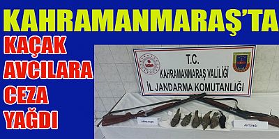 KAÇAK ARDIÇ KUŞU AVCILARINA CEZA