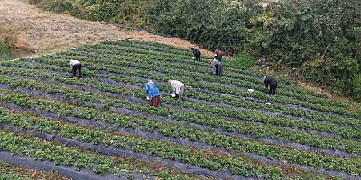 KADINLARIN EMEĞİ “KAHRAMAN KADIN” PLATFORMU İLE DAHA GENİŞ KİTLELERE ULAŞIYOR