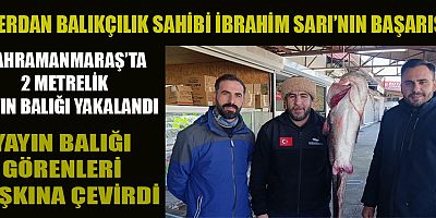 KAHRAMANMARAŞ’A 100 KİLOLUK DEV BALIK: İBRAHİM SARI’NIN YAKALADIĞI YAYIN BALIĞI GÖRENLERİ ŞAŞKINA ÇEVİRDİ