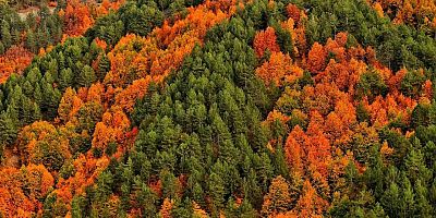 KAHRAMANMARAŞ’A FOTOĞRAF SANATÇILARI AKIN ETTİ