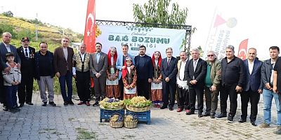 KAHRAMANMARAŞ BERTİZ BUDAKLI’DA GELENEKSEL BAĞ BOZUMU COŞKUSU: ÜZÜMLER HASAT EDİLDİ