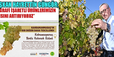 KAHRAMANMARAŞ BERTİZ KABARCIK ÜZÜMÜ TESCİLLENDİ