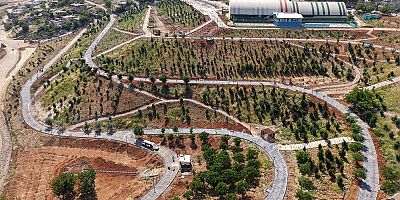 KAHRAMANMARAŞ BÜYÜKŞEHİR’İN ‘YEŞİL DÖNÜŞÜM’ HAMLESİ KARBON YUTAK ALANI’NDA ÇALIŞMALAR SÜRÜYOR