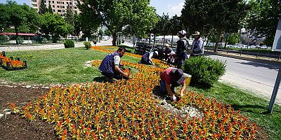 KAHRAMANMARAŞ ÇİÇEK AÇIYOR