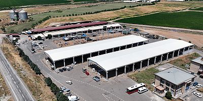 KAHRAMANMARAŞ HAYVAN BORSASI’NDA HAZIRLIKLAR TAMAMLANDI