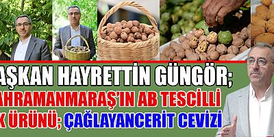 KAHRAMANMARAŞ’IN AB TESCİLLİ İLK ÜRÜNÜ ÇAĞLAYANCERİT CEVİZİ