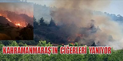 KAHRAMANMARAŞ'IN CİĞERLERİ YANDI
