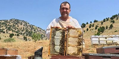 KAHRAMANMARAŞ ONİKİŞUBAT İLÇESİNİN ENGİZEK DAĞLARI’NDAN SOFRALARA: KATKISIZ VE DOĞAL BAL 20 AĞUSTOS’TA GELİYOR!