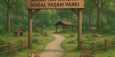 KAHRAMANMARAŞ SAHİPSİZ HAYVANLARI KORUMA BİRLİĞİ KURULDU