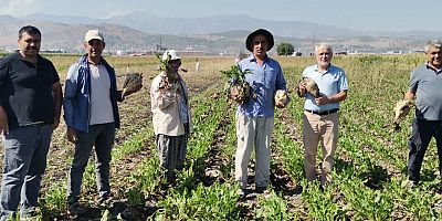 KAHRAMANMARAŞ’TA 14 BİN 500 TON ŞEKER ÜRETİMİ 