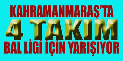 KAHRAMANMARAŞ’TA 4 TAKIM BAL İÇİN YARIŞIYOR