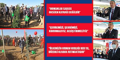 KAHRAMANMARAŞ’TA 5 BİN FİDAN TOPRAKLA BULUŞTU