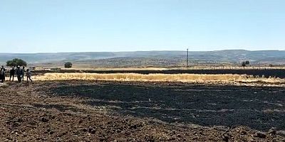 Kahramanmaraş’ta hasat bekleyen 8 dönüm buğday tarlası yanarak kül oldu.
