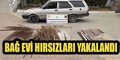 Kahramanmaraş’ın Dulkadiroğlu ilçesinde çeşitli tarihlerde bağ evlerinden hırsızlık yaptığı belirlenen 2 kişi jandarma ekiplerince yakalandı.