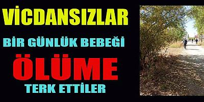 KAHRAMANMARAŞ’TA BİR GÜNLÜK BEBEK AĞAÇ ALTINDA BULUNDU