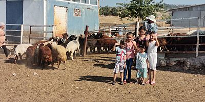KAHRAMANMARAŞ’TA  BÖLGENİN EN BÜYÜK HAYVAN ÇİFTLİĞİNİ KURDU