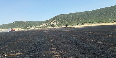 KAHRAMANMARAŞ’TA BUĞDAY TARLASI KÜL OLDU 