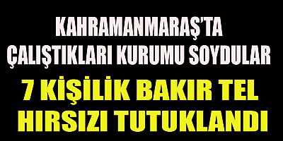 Kahramanmaraş’ın Türkoğlu ilçesinde jandarma ekipleri tarafından yapılan operasyonda 7 kişilik bakır tel hırsızı tutuklandı.