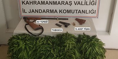 KAHRAMANMARAŞ’TA CEZAEVİ FİRARİSİ KENEVİR YETİŞTİRİRKEN YAKALANDI