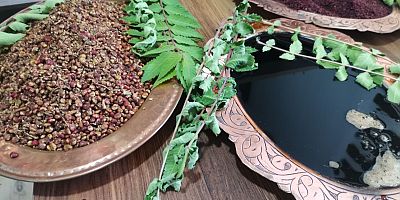 KAHRAMANMARAŞ'TA ÇİFTÇİLERE SUMAK FİDESİ ÜRETİMİ BAŞLADI