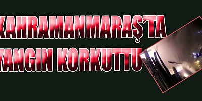 KAHRAMANMARAŞ'TA ÇIKAN  YANGIN PANİĞE NEDEN OLDU