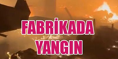 KAHRAMANMARAŞ’TA ÇIRÇIR FABRİKASINDA  YANGIN