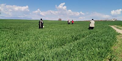 KAHRAMANMARAŞ’TA DEPREMZEDE ÇİFTÇİLERİN TARLA MESAİSİ BAŞLADI