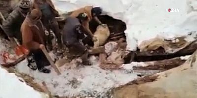 KAHRAMANMARAŞ’TA EVİN ÜZERİNE ÇIĞ DÜŞTÜ: HAYVANLAR KAR ALTINDA KALDI



Kahramanmaraş’ın Göksun ilçesinde yer alan Berit Dağ’ında eteklerinde yer alan bir eve çığ düşmesi sonucu maddi hasar yaşandı.