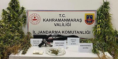 KAHRAMANMARAŞ’TA EVİNDE KENEVİR YETİŞTİRDİ YAKALANDI