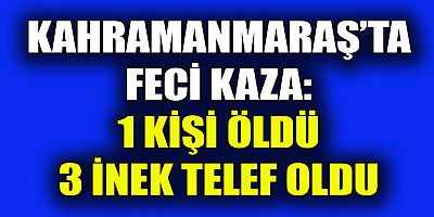 KAHRAMANMARAŞ’TA FECİ KAZA: 1 KİŞİ ÖLDÜ  3 İNEK TELEF OLDU